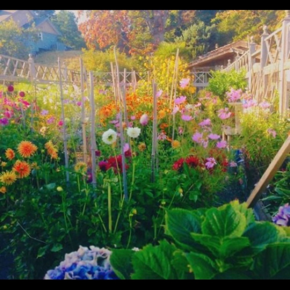 Meet your Posher, Kaitlyn